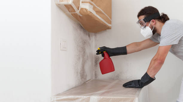 Professional Attic Mold Remediation technician working in Wingate, NC