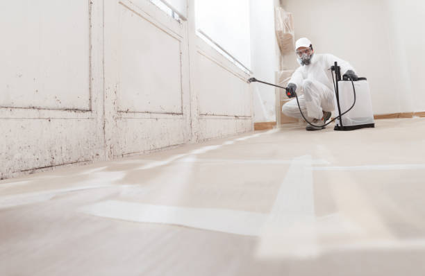 24/7 Emergency Attic Mold Remediation experts in Wingate, NC